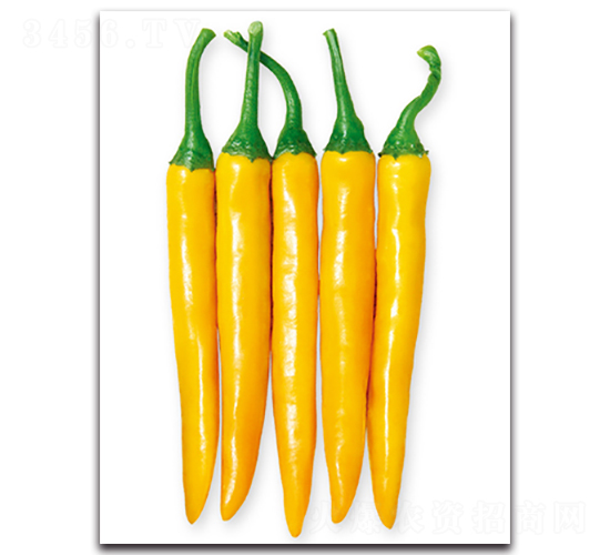 ��G�S��-�����N��-���}�r(n��ng)�I(y��)