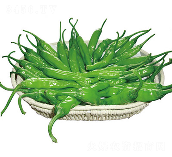 ��G����-�����N��-���}�r(n��ng)�I(y��)