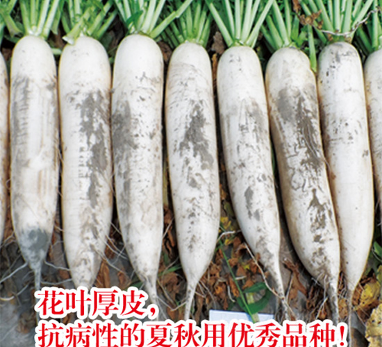 ����}��-�}���N��-�֠��r(n��ng)�I(y��)