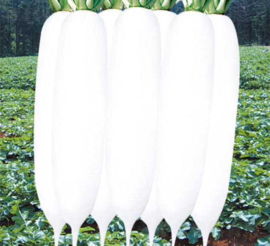 ������-�}���N��-�֠��r(n��ng)�I(y��)