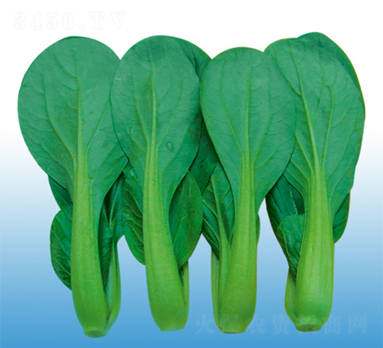 �Ϻ������-�๣�˷N��-�֠��r(n��ng)�I(y��)