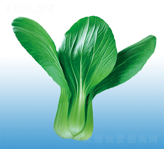 �֠�618-�๣�˷N��-�֠��r(n��ng)�I(y��)