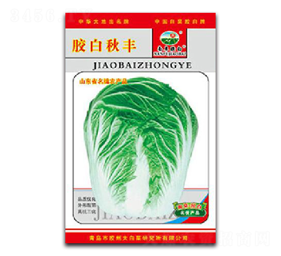 �z�����S-�ײ˷N��-�z��