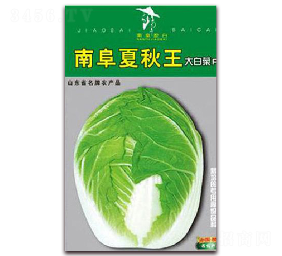 �ϸ�������-�ײ˷N��-�z��