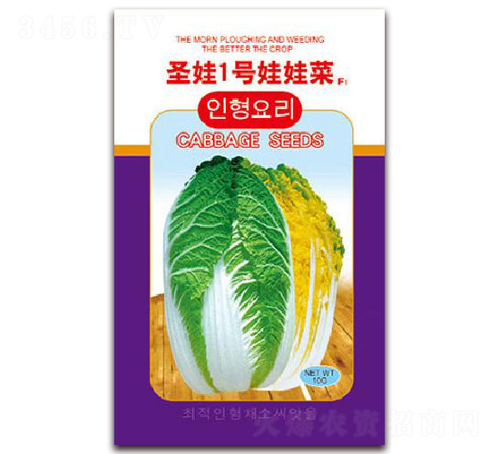 ʥ��һ̖(h��o)���޲�F1-�ײ˷N��-�z��