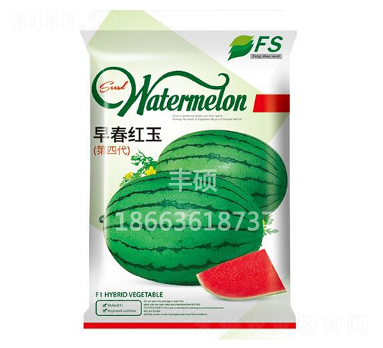 �紺�t��-���ϷN��-�S�T�N�I(y��)