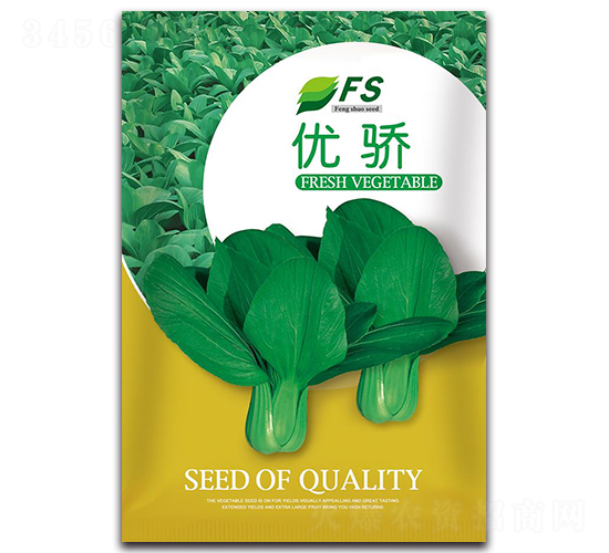 �n�-�๣�˷N��-�S�T�N�I(y��)