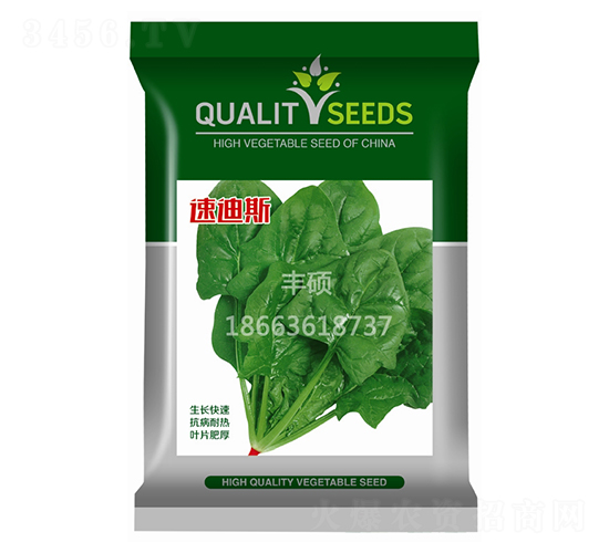 �ٵ�˹-�๣�˷N��-�S�T�N�I(y��)