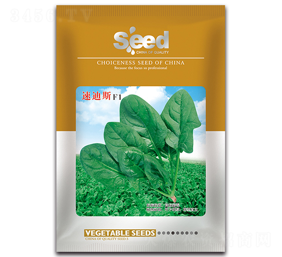 �ٵ�˹F1-�๣�˷N��-�S�T�N�I(y��)