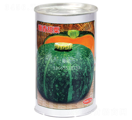 ��������-�ϹϷN��-�S�T�N�I(y��)