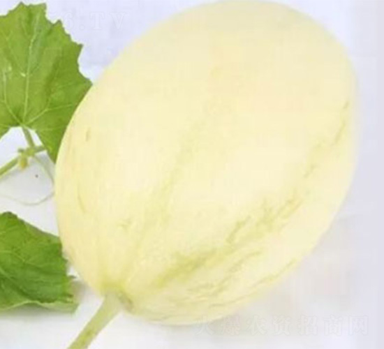 SWEETFAMILY789-���ܹϷN��-���S�r(n��ng)�I(y��)