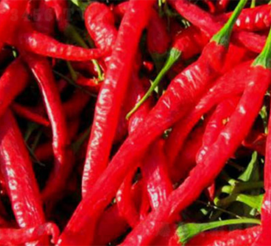 DIVA165-�����N��-���S�r(n��ng)�I(y��)