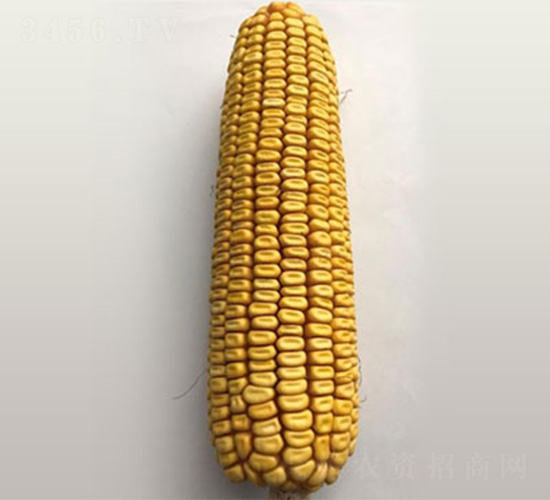 ����2201-���׷N��-���S�r(n��ng)�I(y��)