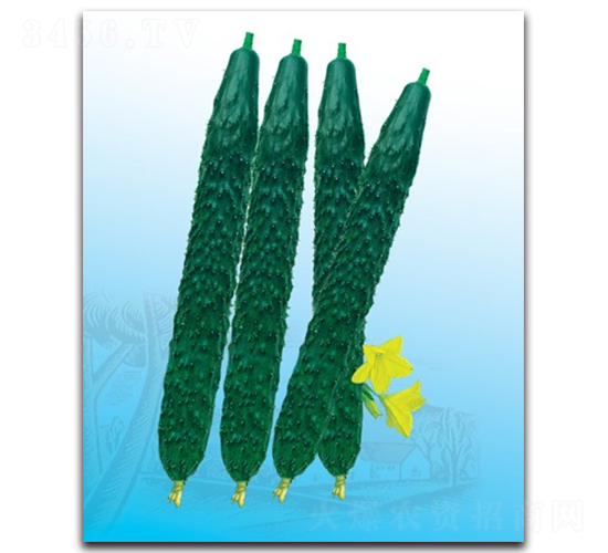 �¾G���S��-�S�ϷN��-����N�I(y��)