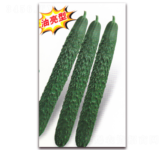 ���A��H-001�S��-�S�ϷN��-����N�I(y��)