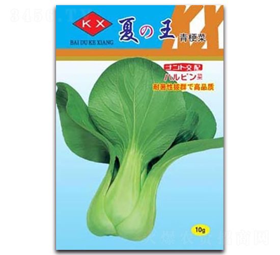 ����-�๣�˷N��-����N�I(y��)