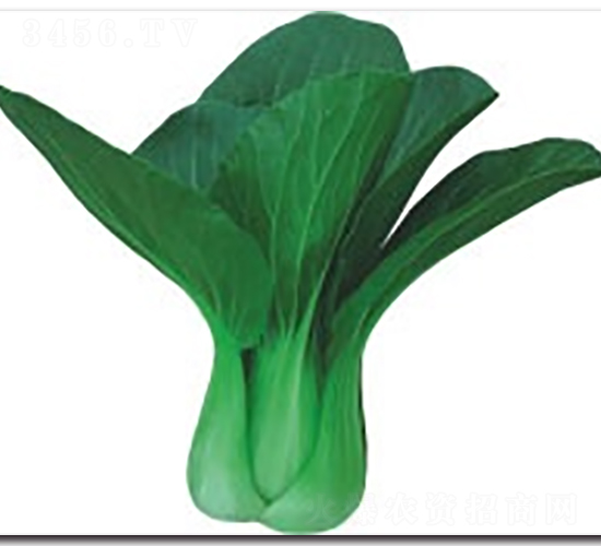 �t��312�๣��-�๣�˷N��-����N�I(y��)