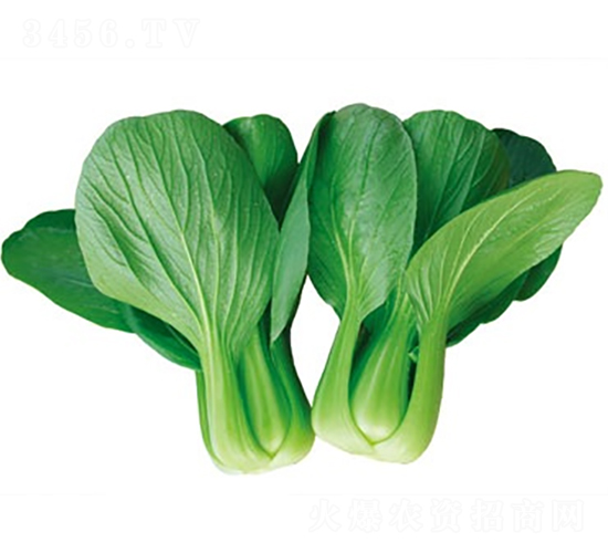 �t����322��-�๣�˷N��-����N�I(y��)