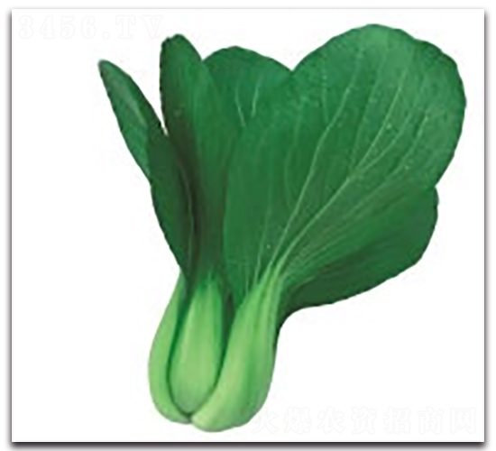 ��(��i)��2̖(h��o)-�๣�˷N��-����N�I(y��)