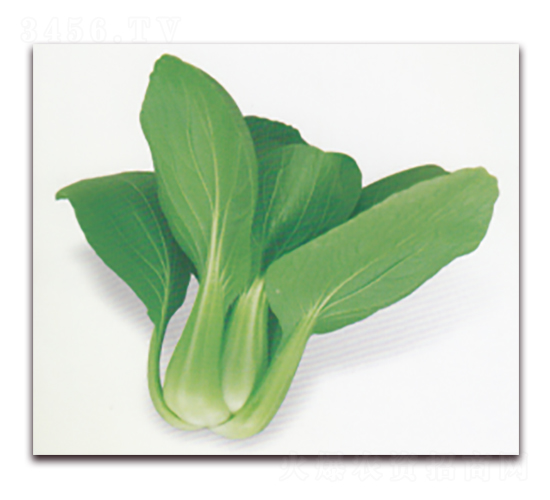 ����599-�๣�˷N��-����N�I(y��)