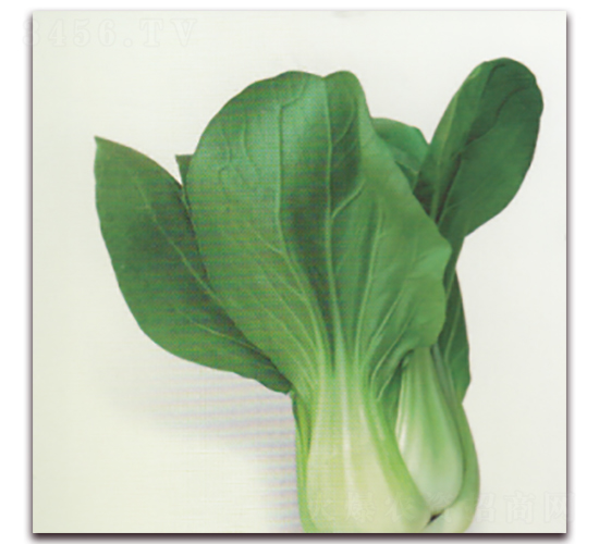 �Ͷ���22�๣��-�๣�˷N��-����N�I(y��)