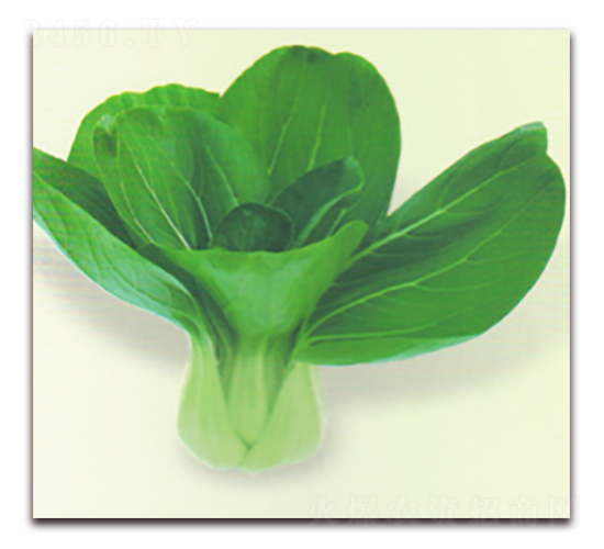 �����๣��-�๣�˷N��-����N�I(y��)