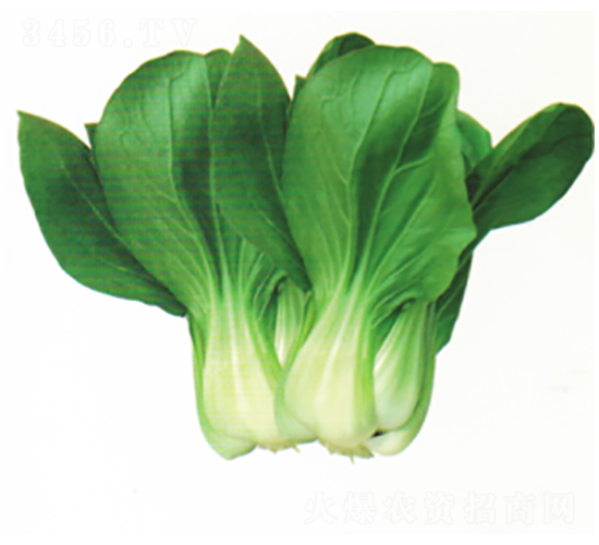 ����1104-�๣�˷N��-����N�I(y��)