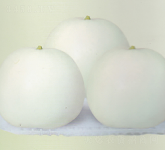 �������-��ϷN��-����N�I(y��)