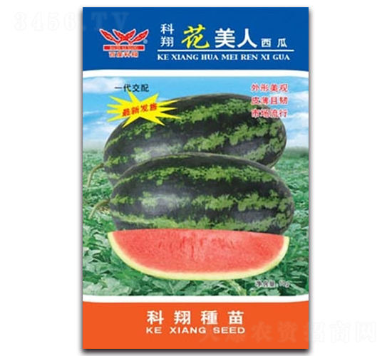 ����������-���ϷN��-����N�I(y��)