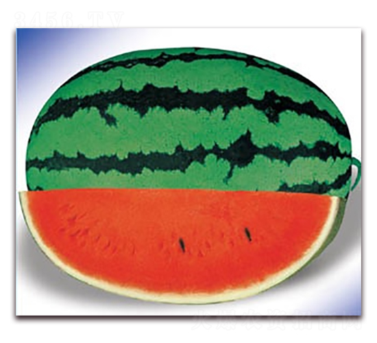 �����쌚-���ϷN��-����N�I(y��)