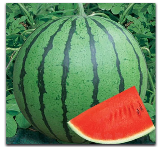 ������-���ϷN��-����N�I(y��)