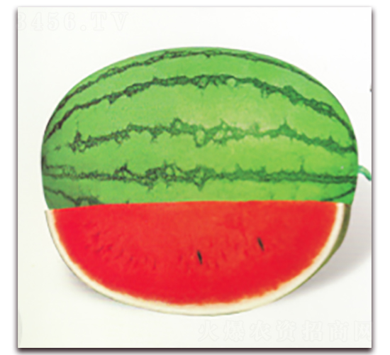 ������������-���ϷN��-����N�I(y��)