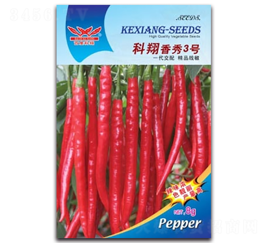 ��������3̖-�����N��-����N�I(y��)