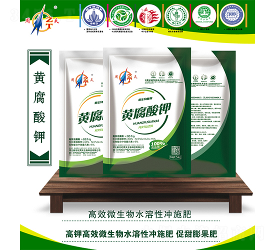 �S�����-����