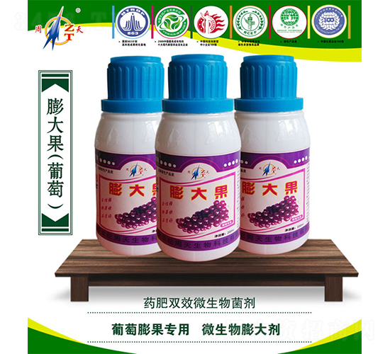 ���ь���΢�������-����-����-����