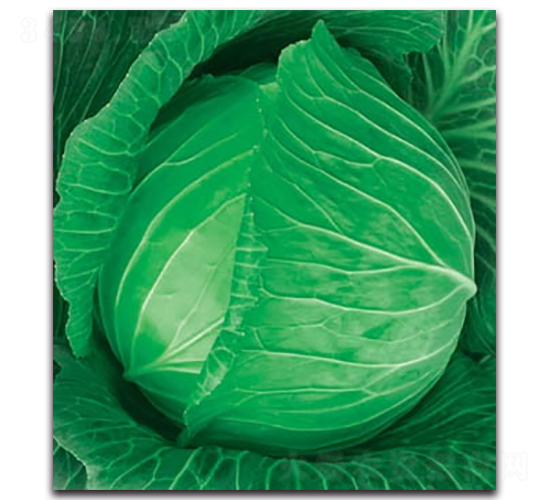 δ��(l��i)789���{(l��n)-���{(l��n)�N��-����N�I(y��)