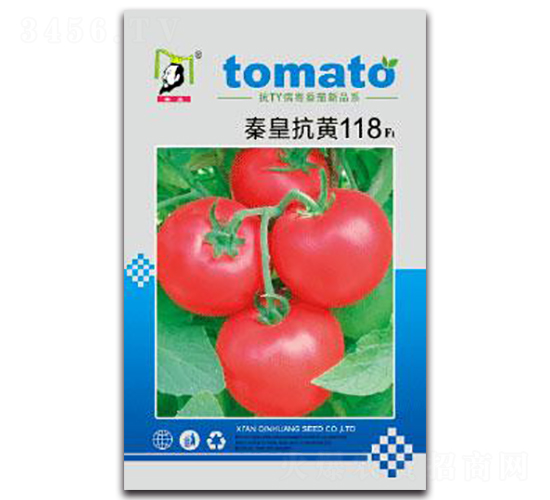 �ػʿ��S118F1-���ѷN��-�ػ�