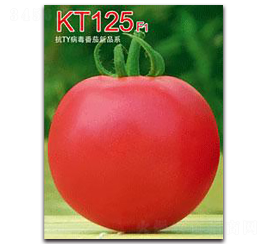 KT125F1-���ѷN��-�ػ�