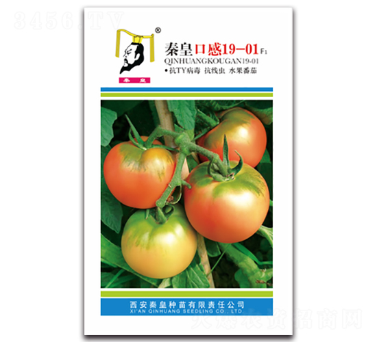 �ػʿڸ�19-01F1-���ѷN��-�ػ�