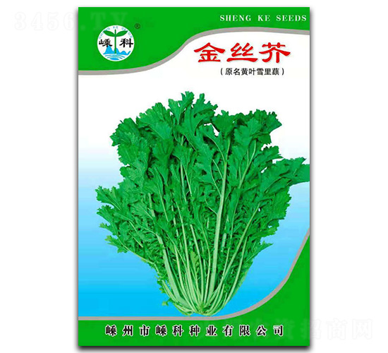 ��z��-��˷N��-�ӿƷN�I(y��)