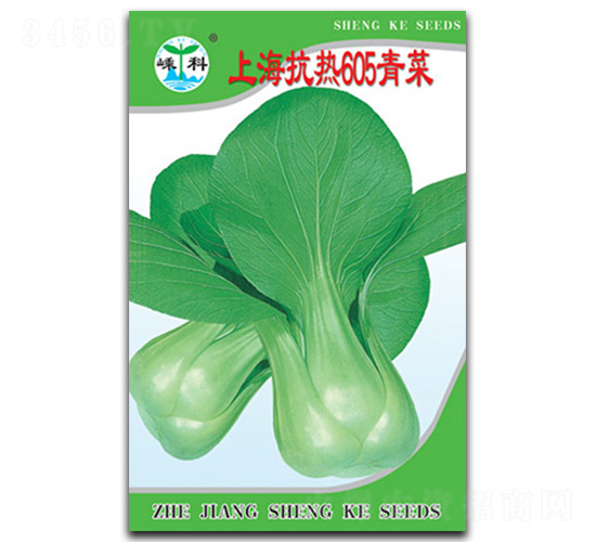 �Ϻ�����605���-��˷N��-�ӿƷN�I(y��)