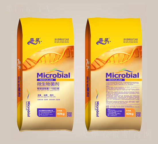 10�|���΢�������-ϲ��