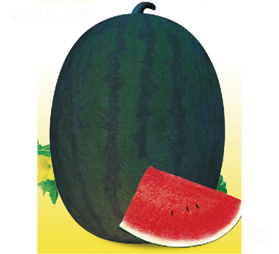 ī��һ̖(h��o)-���ϷN��-����