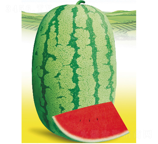 �޶���̖-���ϷN��-����