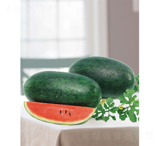 ���S������-���ϷN��-����