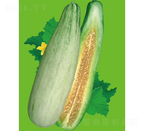 �����-��ϷN��-����