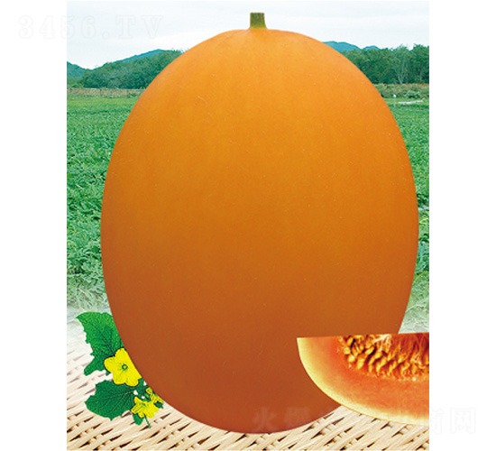 ����һ̖(h��o)-��ϷN��-����