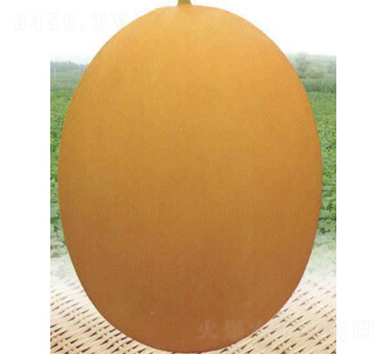 ������̖(h��o)-��ϷN��-����