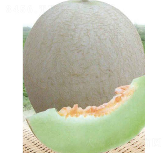 ��������̖-��ϷN��-����