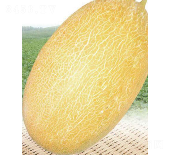 ������20̖-��ϷN��-����